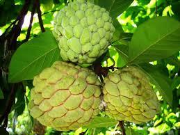 ATIS