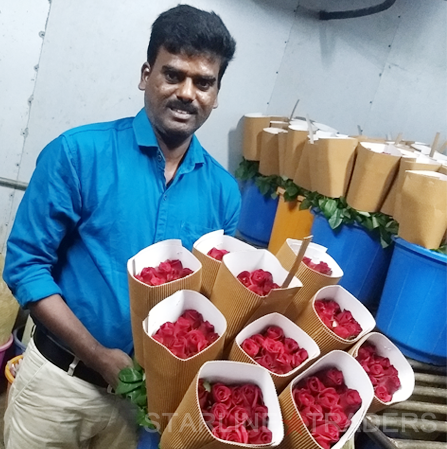 Indian Fresh Cut Rose Flowers