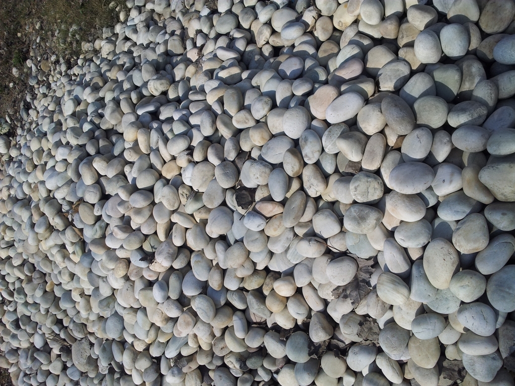 Sandstone Sea Coral Surface Landscaping Natural River Pebble Stone And Cobbles For Export Price Per Ton