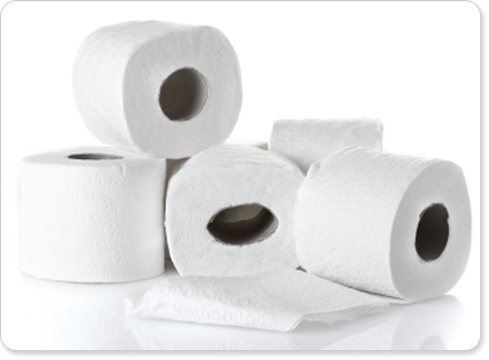 Toilet Tissue