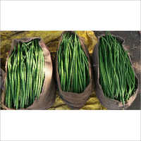 ऑर्गेनिक ड्रमस्टिक