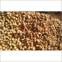 ताज़ा आलू