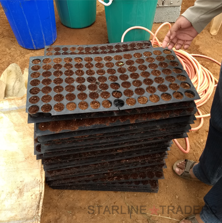 Eco-friendly Coco Peat Disc