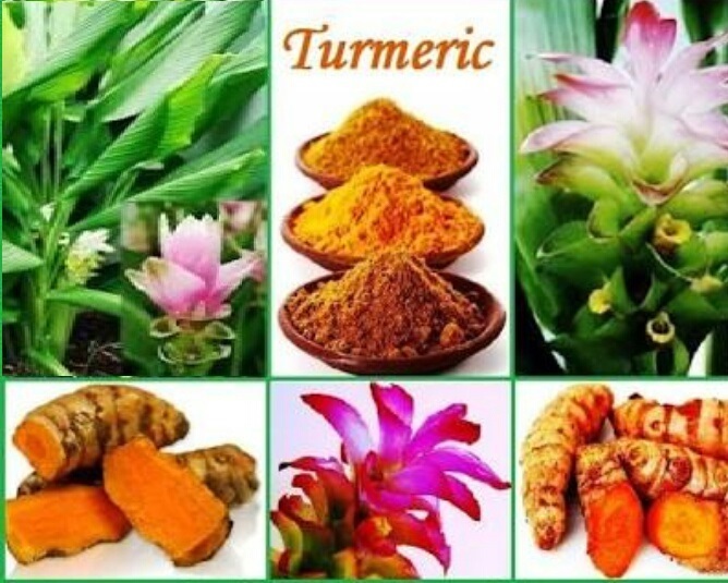 Turmeric