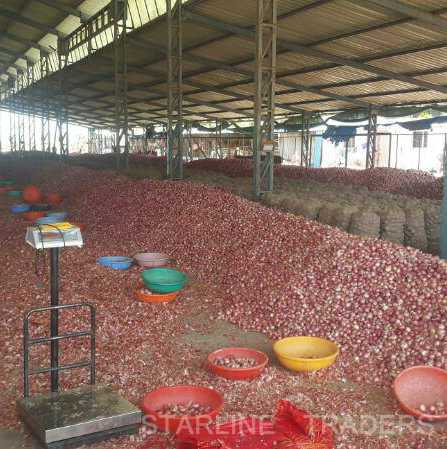 Red Onion