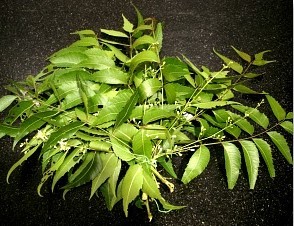 नीम निकालें