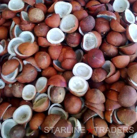 Brown Indian Coconut Copra
