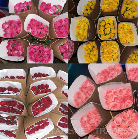 Indian Fresh Cut Rose Flowers