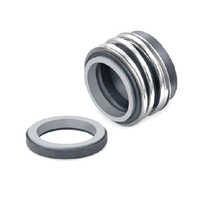 Elastomer Bellow Mechanical Seal Application: Pump