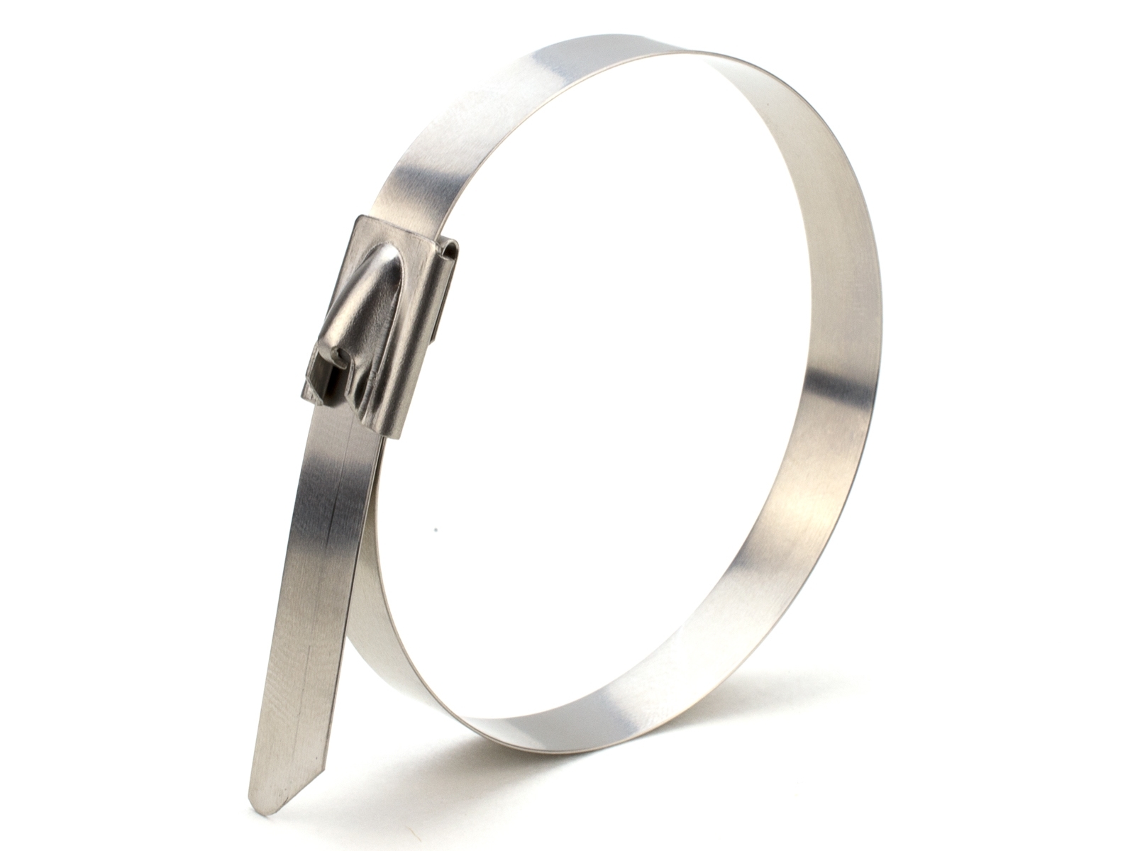 Rust Free Stainless Steel Cable Tie (100 Pcs)