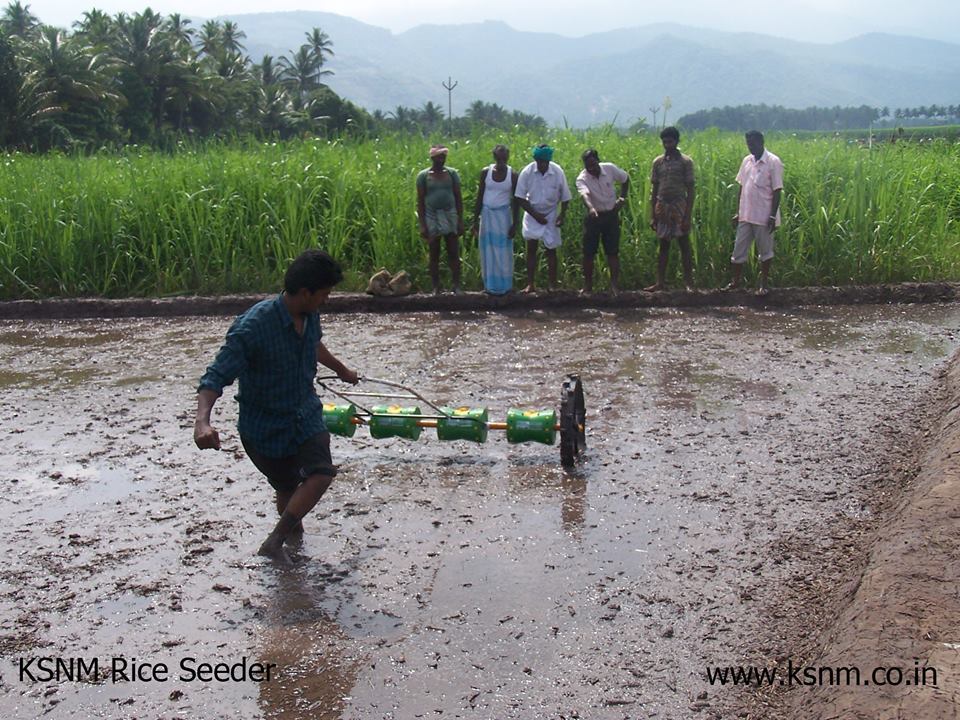 Seed Drum - 20 X 20 Cm - Color: Green