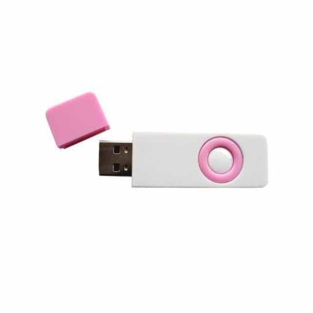 Plastic Rectangle Style Colorful Usb Drives