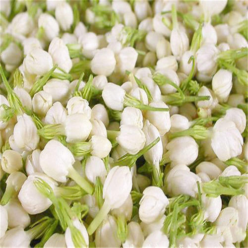 Jasmine Essential Oil - 100% Pure, Steam Distilled White Floral Extract | Ideal For Dry, Greasy, Sensitive Skin, Reduces Stretch Marks And Scarring