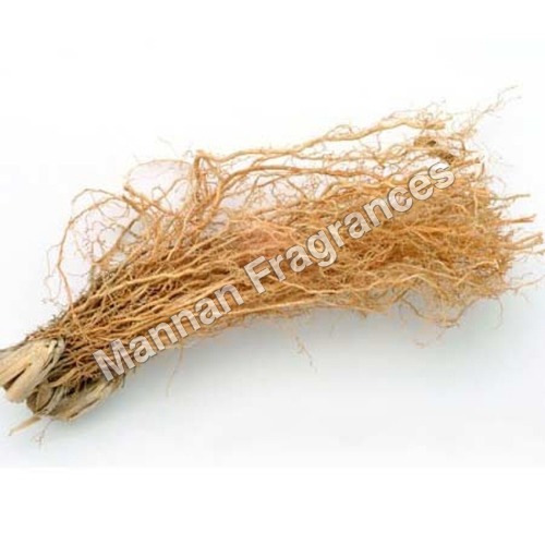 वेटिवर रूट ऑयल