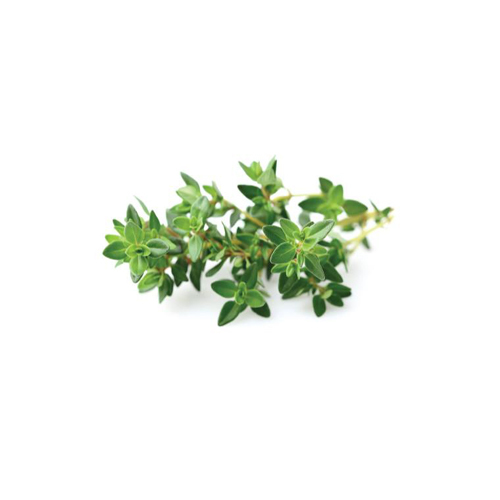 Thyme Oil - Pure Plant Extract , Green Color, Steam Distillation Method, Botanical Name Thymus Vulgaris, 2-year Shelf Life
