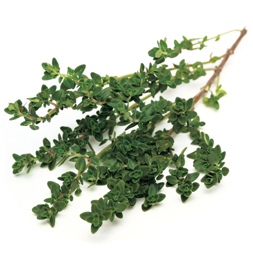 Thyme Oil - Pure Plant Extract , Green Color, Steam Distillation Method, Botanical Name Thymus Vulgaris, 2-year Shelf Life