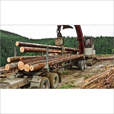 लॉगिंग जनशक्ति सेवाएं