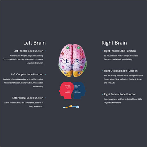 Brain Reading