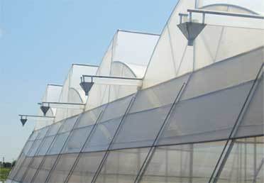 Greenhouse Film
