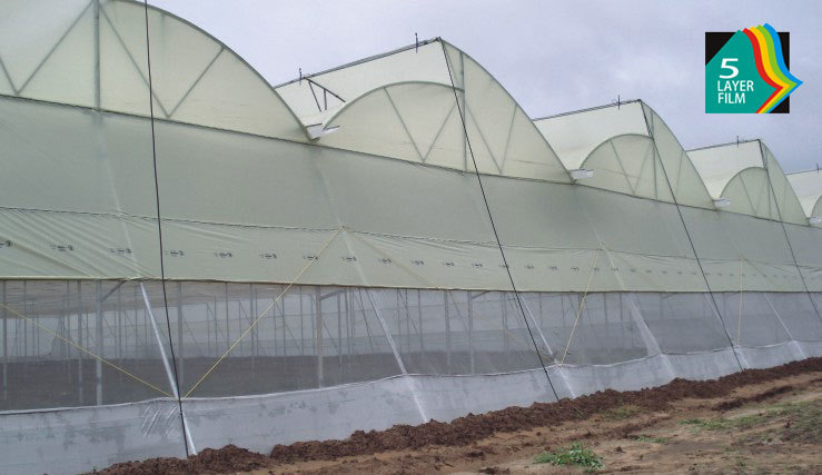 Greenhouse Film