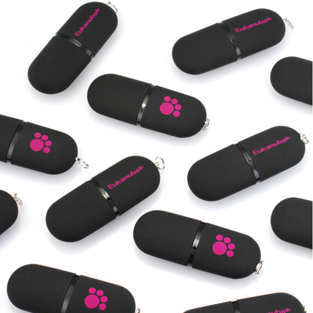 Capsule Shape Key Chain Plastic Usb