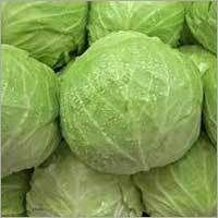 Cabbage Shelf Life: 1-4 Days