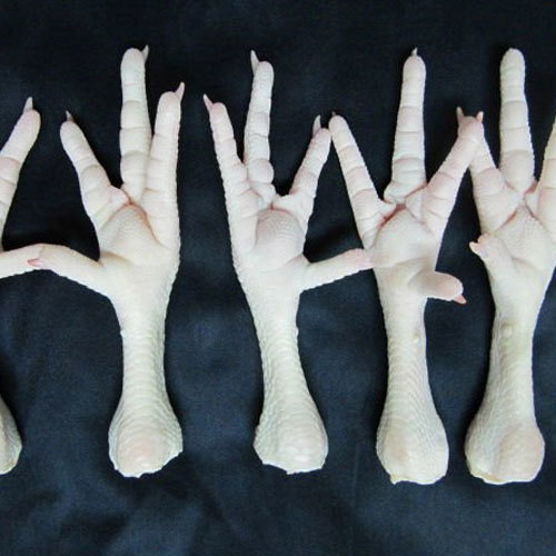 Halal Quality Frozen Chicken Feet