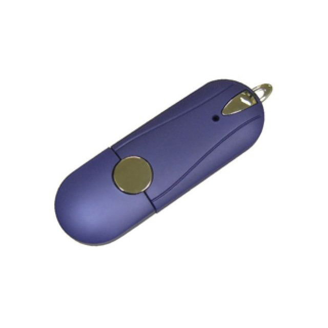 Custom Logo Oval Usb Flash Drive Size: 55 X 25 X 3.5mm