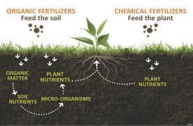Organic Fertilizer - Oil Palm Tree Fiber, 3% N, 2% P, 3.2% K | Biodegradable, Environment Friendly, Ideal For Agriculture And Landscaping