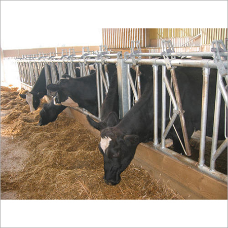 हेड लॉक्स