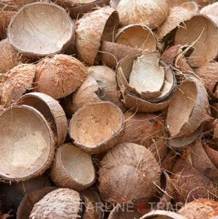 नारियल के खोल