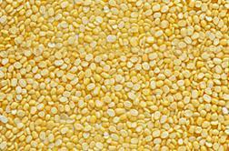 Moong Dal Washed