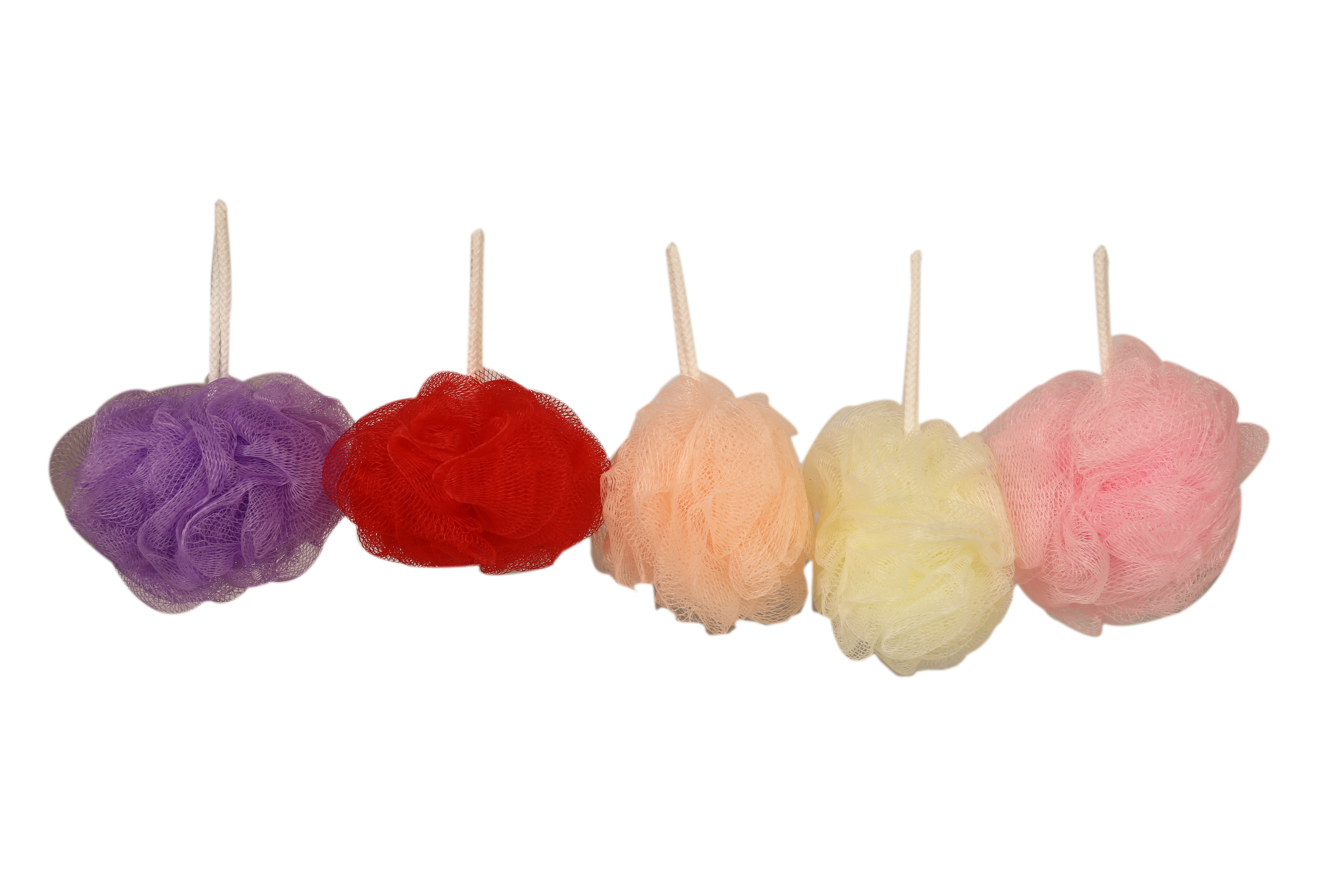 Loofah Brush