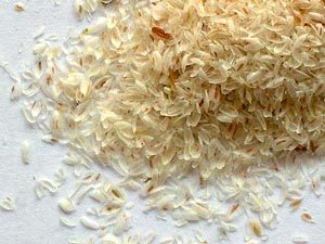 ऑर्गेनिक साइलियम हस्क