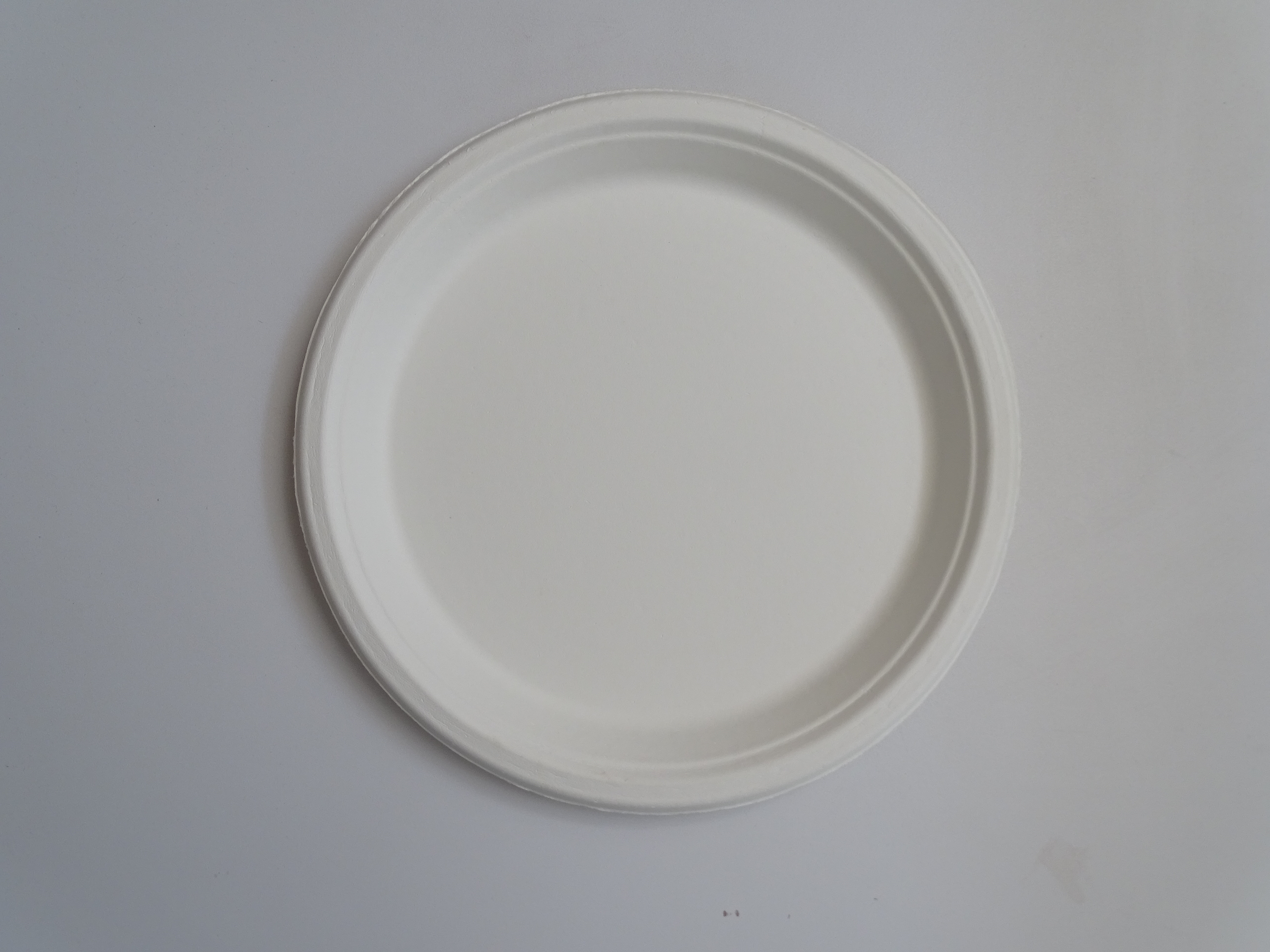 Bagasse Round Plate - 10 Inch, White Biodegradable Pulp Tableware | Hard Food Safety Grade, Eco-friendly Material