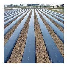 Mulching Paper Crop Easy Grow