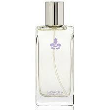 Lavender Fragrances