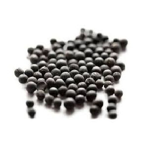 शतावरी बीज