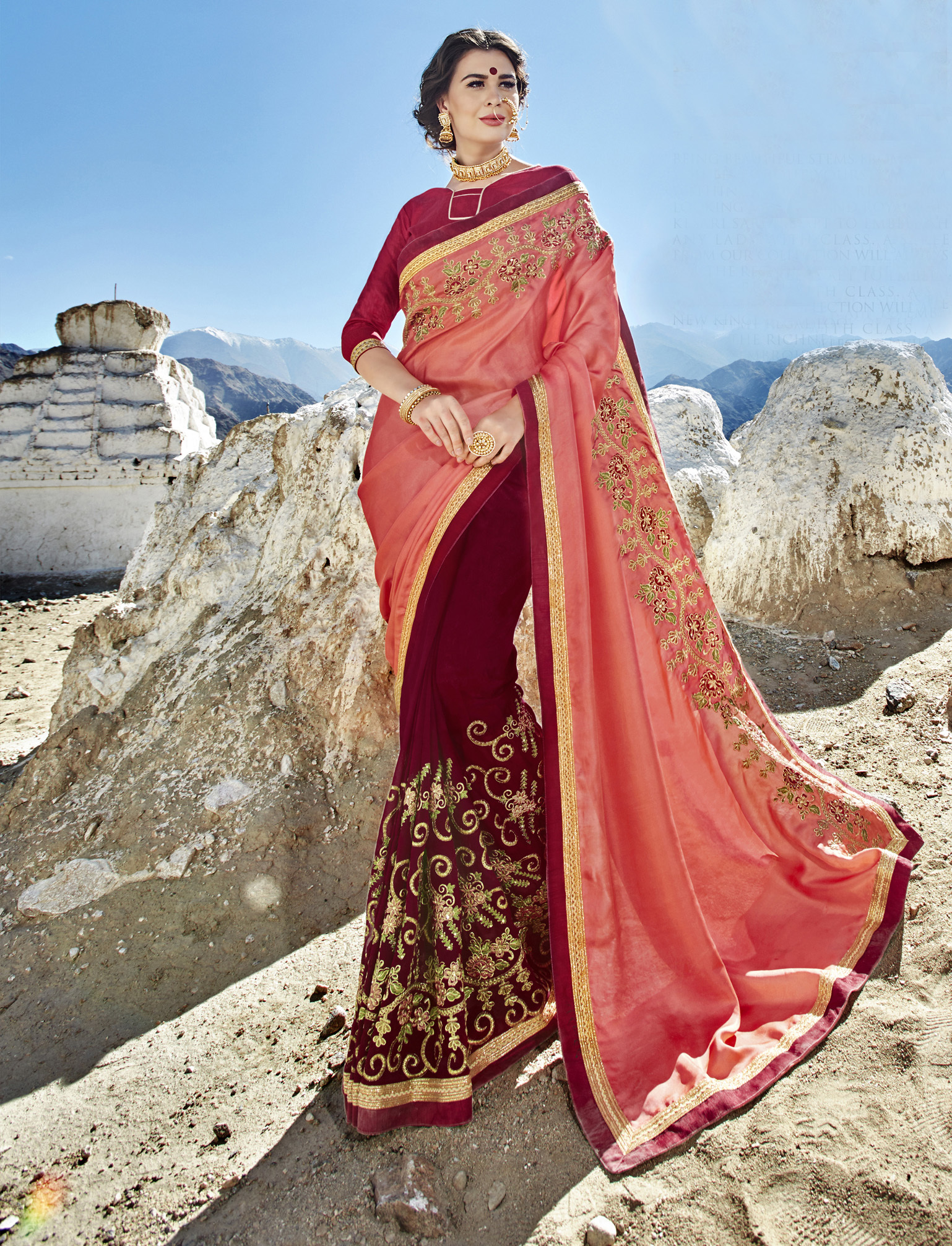 As Per Image Phulkari Saree