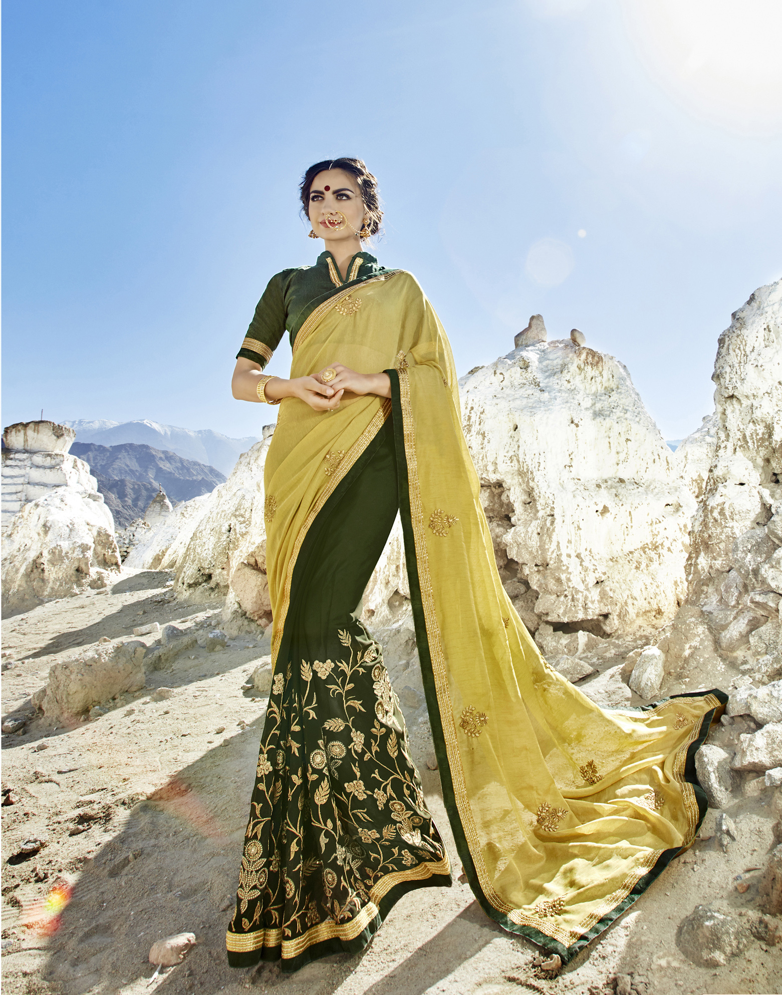 As Per Image Phulkari Saree