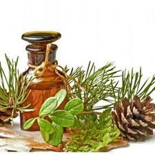 Pine Oil - Pine Needles, 100ml Glass Bottle, Brown Color | Air Freshener, Antiseptic, Deodorizer, Disinfectant, Natural Cleaning, Pest Repellent, Relaxing Scent