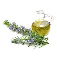 Rosemary Oil - Glass Bottle, 100ml | Steam Distillation, Botanical: Rosmarinus Officinalis, 2-Year Shelf Life