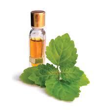 NALA - Glass Bottle 10ml, 3x1 cm | Herbal Oil, Steam Distilled, Stress Relief, Muscle Relaxant, Improved Sleep