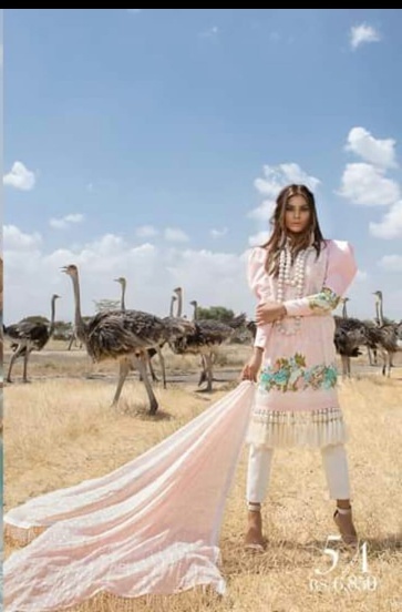 Multicolor Kashmiri Suits
