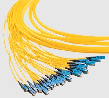 Multi Fiber Trunks