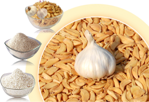 सूखी हुई लहसुन पाउडर