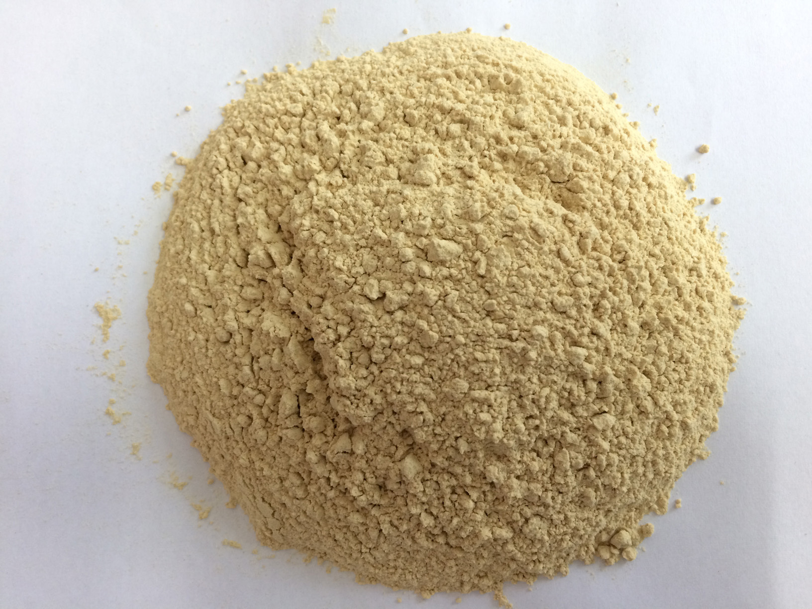 Dehydrated Garlic Powder - 80-100 Mesh, Yellow To Brownish Color | Rich Aroma, Excellent Taste, Long Shelf Life, Free From Foreign Matters