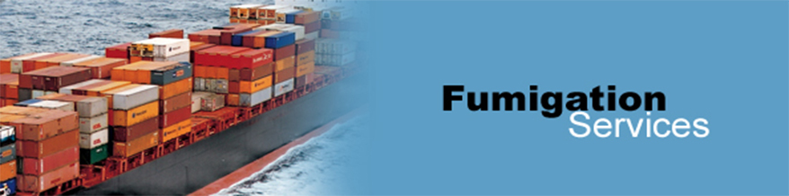 Palletisation And Fumigation Of Cargo