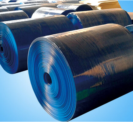 Transparent Pp Corrugated Sheet Rolls