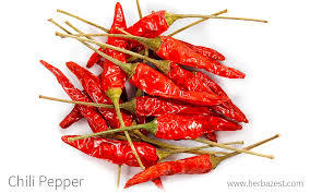 CAPSICUM SPP.